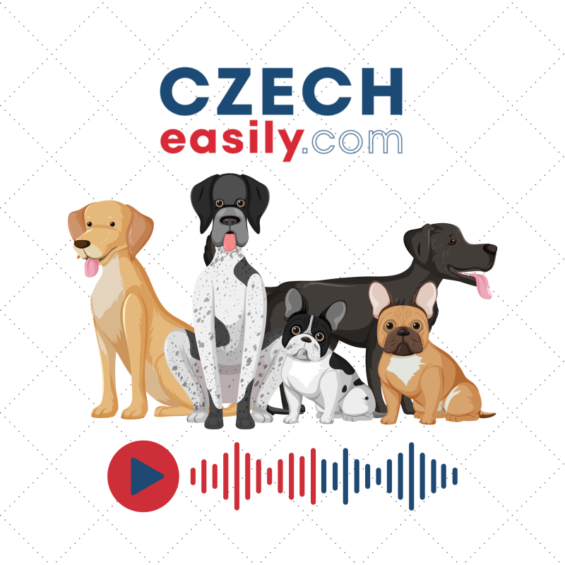 Obrázek epizody 23. Češi a psi