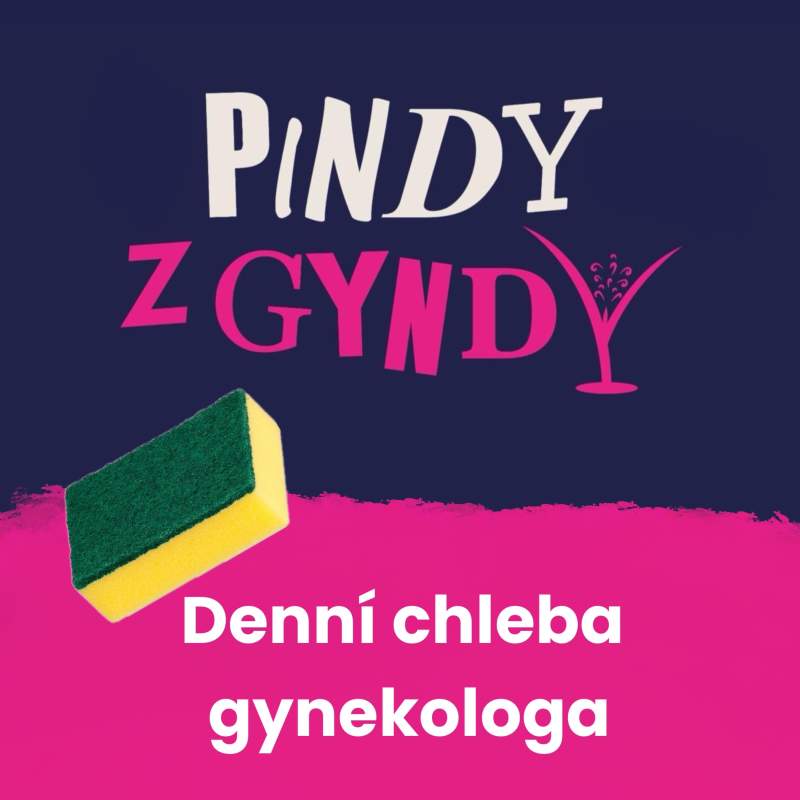 Obrázek epizody Denní chleba gynekologa