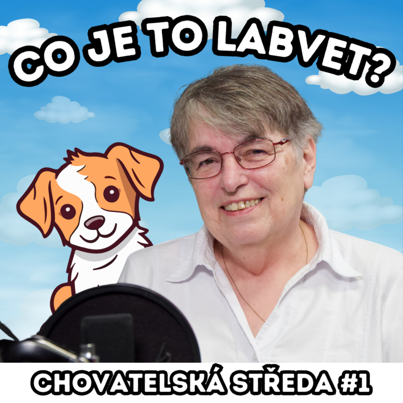 Obrázek epizody 👩⚕️CO je to LABVET?👩⚕️| Chovatelská středa #1