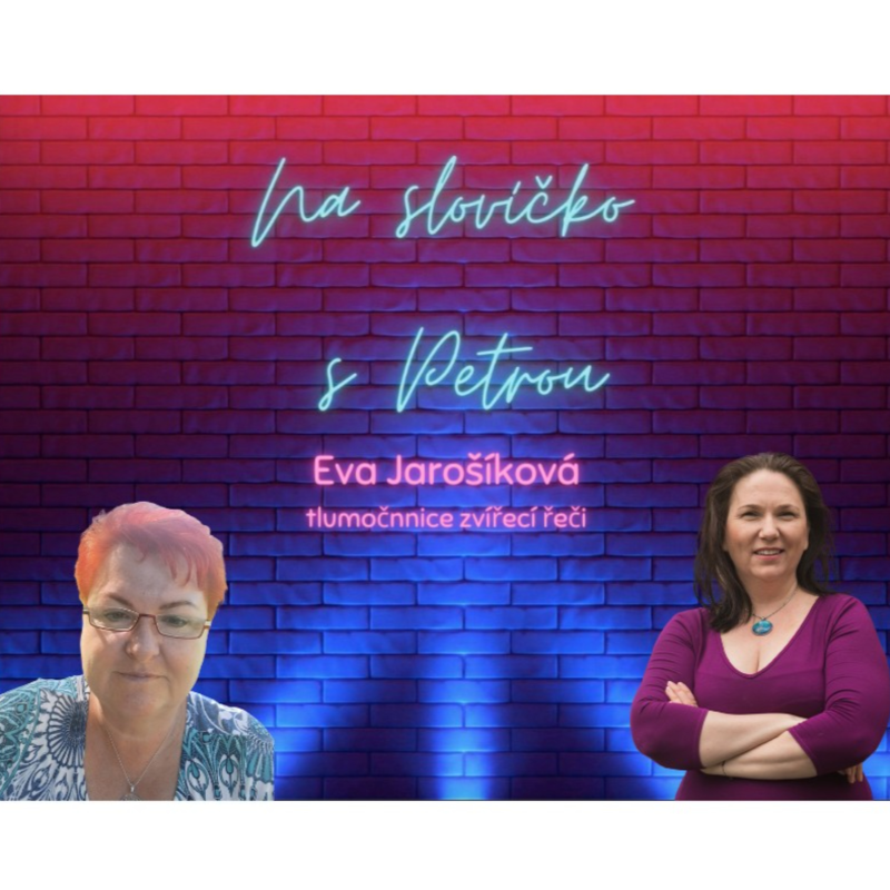 Obrázek epizody Rozumíte řeči zvířat? (Tlumočnice zvířecí řeči Eva Jarošíková)