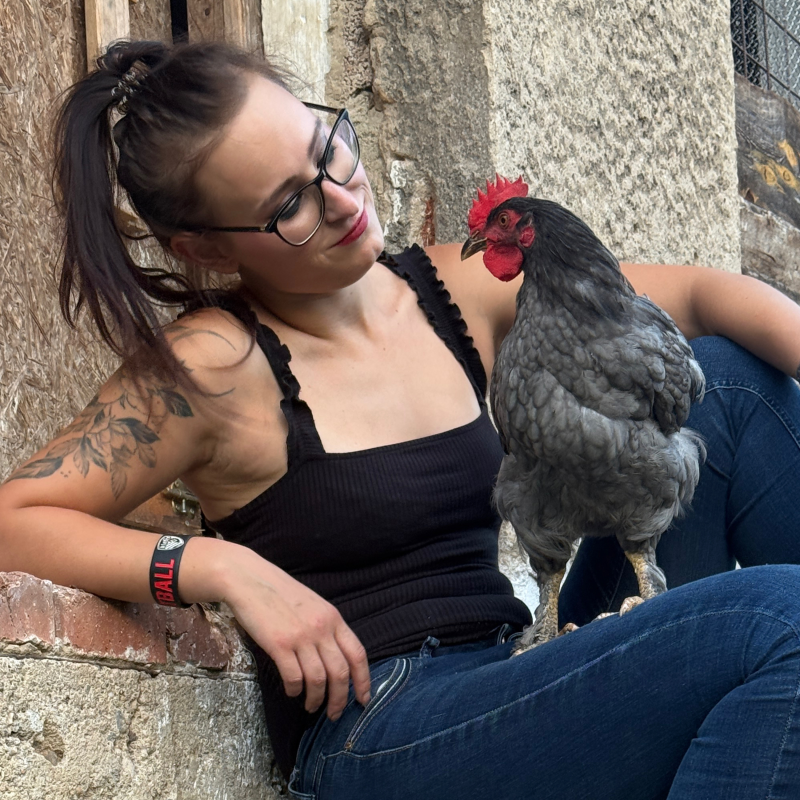 Obrázek epizody Jak jde čas u Equine-study