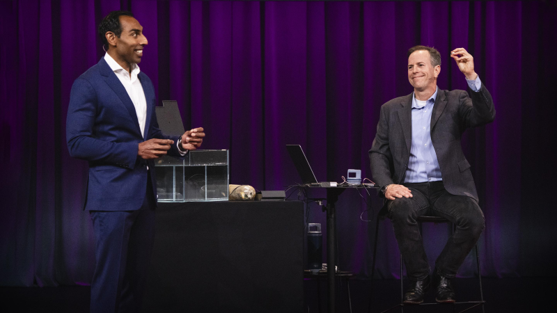 Obrázek epizody How you could see inside your body — with a micro-robot | Alex Luebke, Vivek Kumbhari