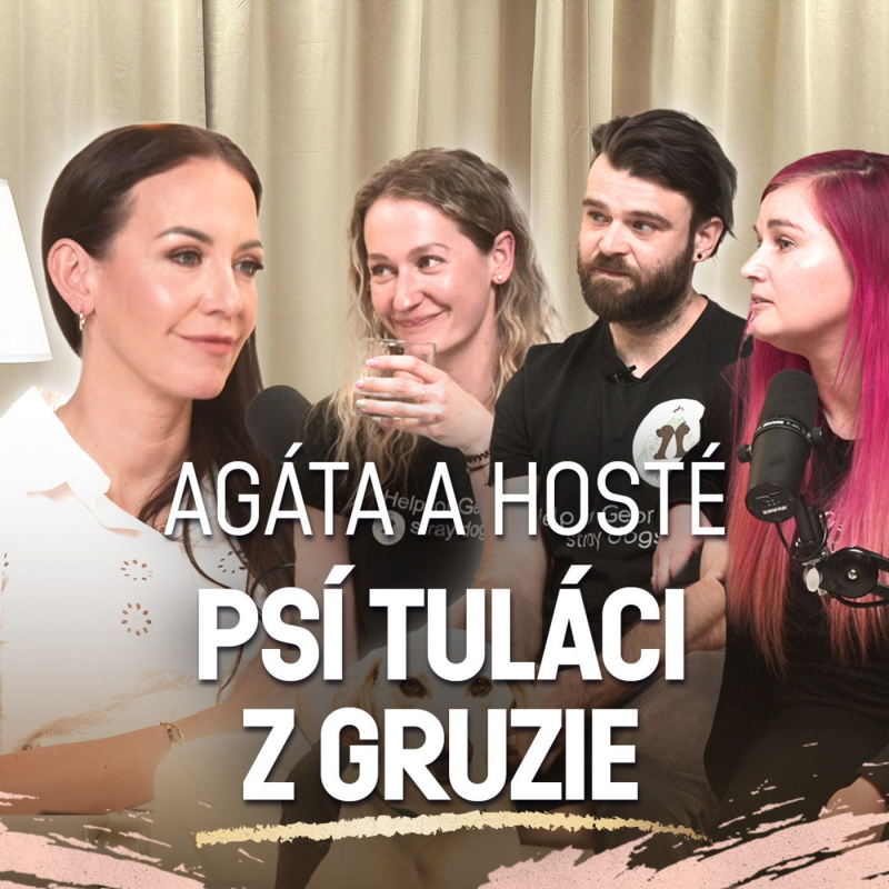 Obrázek epizody Agáta & Psí tuláci z Gruzie: Dovolená, která jim změnila život… a zachránila stovky psů (krátká verze)