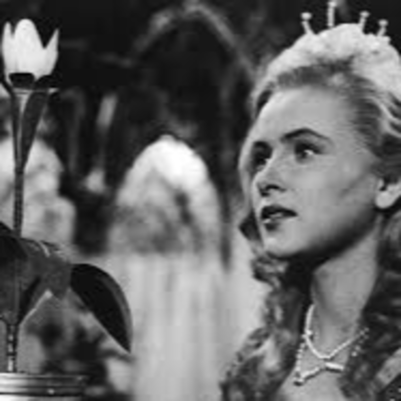 Obrázek epizody Ta naše vánoční pohádka