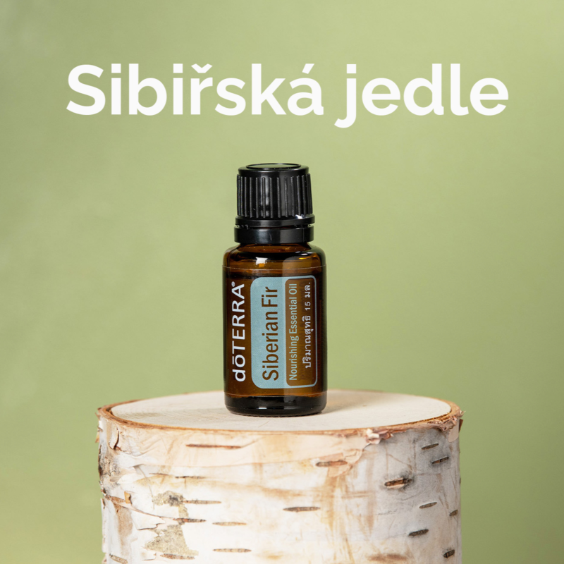 Obrázek epizody 🌿🎙️ Objevte sílu Sibiřské jedle 🌲