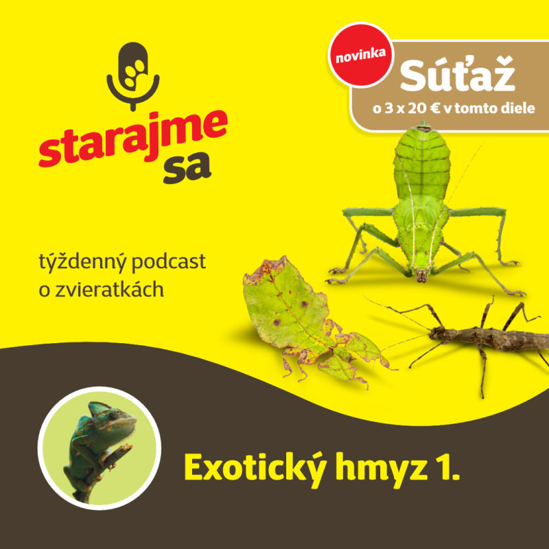 Obrázek epizody Teraristika: Exotický hmyz 1.