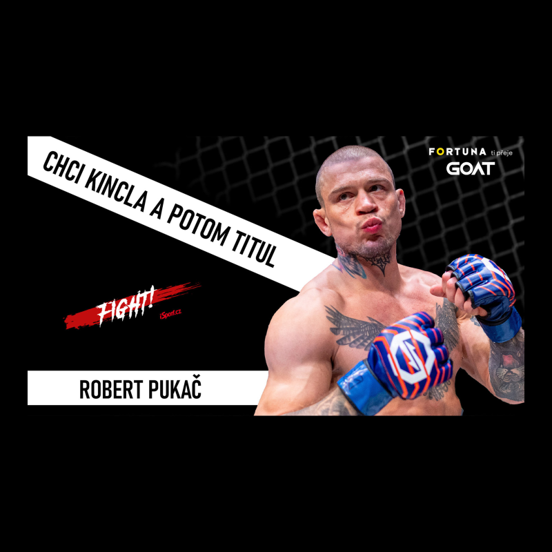 Obrázek epizody Pukač o boji s Kinclem: Ať se vyjádří veřejně jako chlap. Něco proti mně má. Porazím ho KO | Fight!