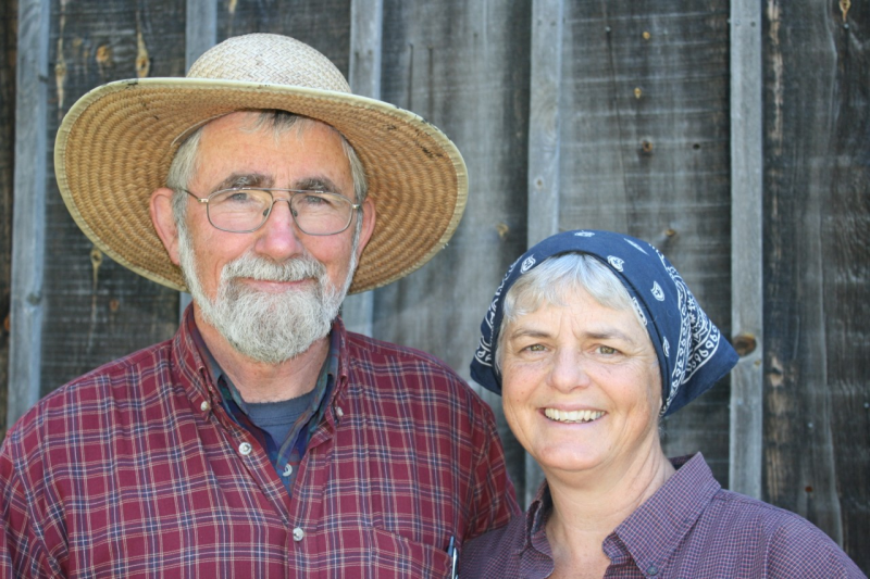 Obrázek epizody Řešením je ekologická obnova