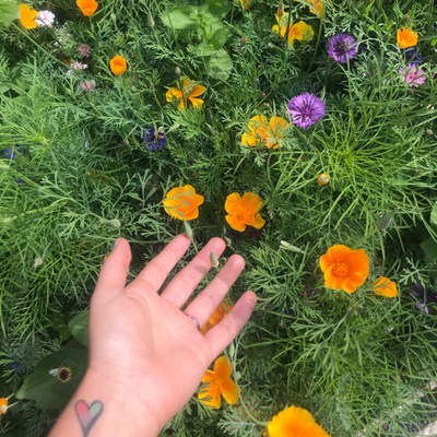 Obrázek epizody #5 Inspirace