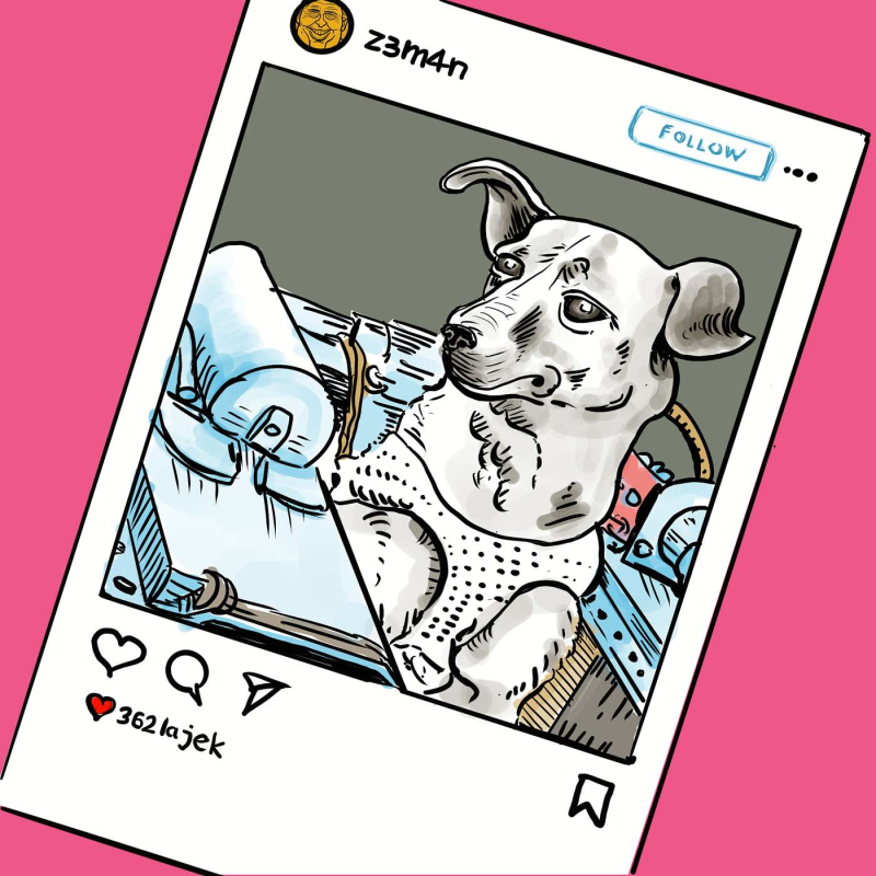 Obrázek epizody #17 - Nejsme Lajky!