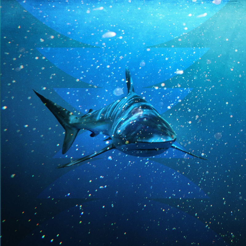 Obrázek epizody Making a Monster