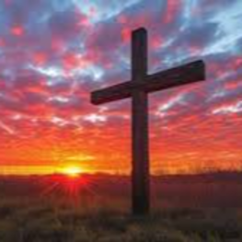 Obrázek epizody Hnal jsem se za slávou