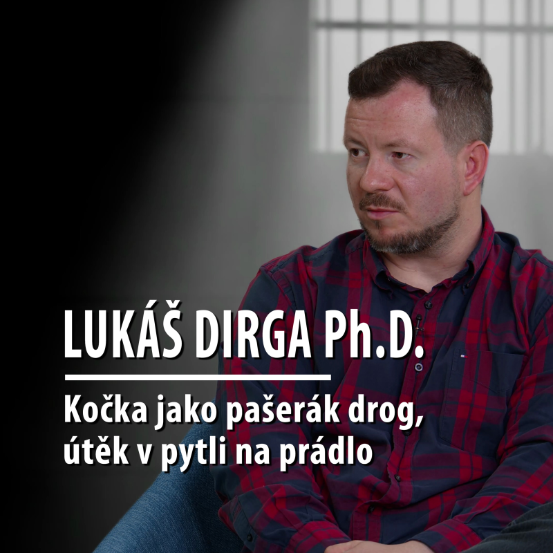 Obrázek epizody Motýl za katrem 2: Sociolog Lukáš Dirga o pašování, útěcích a životě za mřížemi
