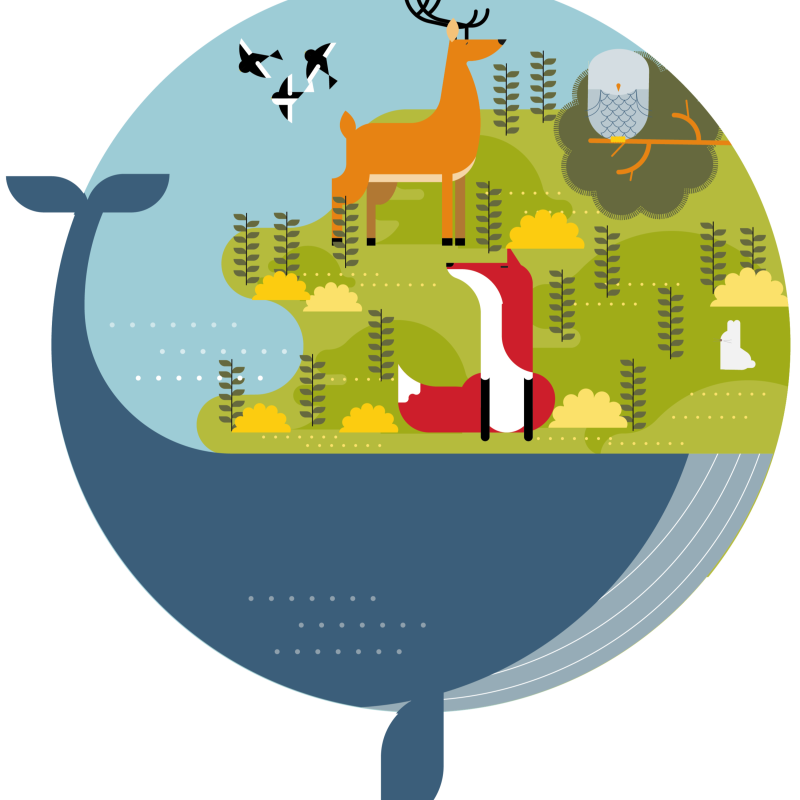 Obrázek epizody Symbiotická planeta