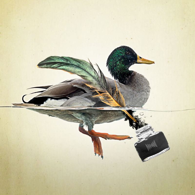 Obrázek epizody Sex, Ducks and the Founding Feud