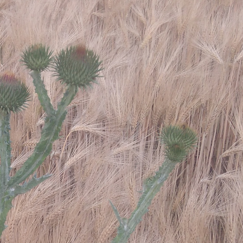 Obrázek epizody Co tě nezabije