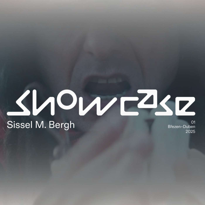 Obrázek epizody Artyčok Showcase 01 - Sissel Mutale Bergh: Elmie (english podcast version)