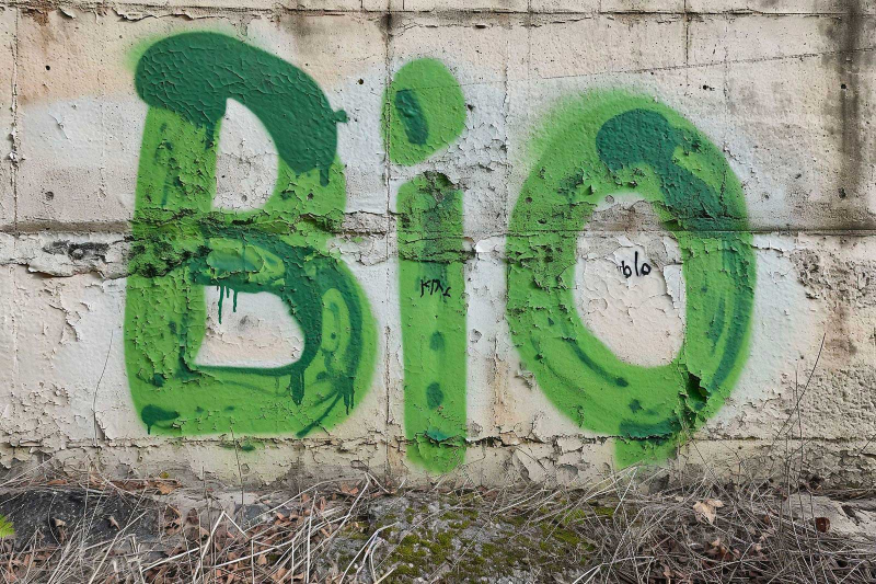 Obrázek epizody Není zelená jako zelená