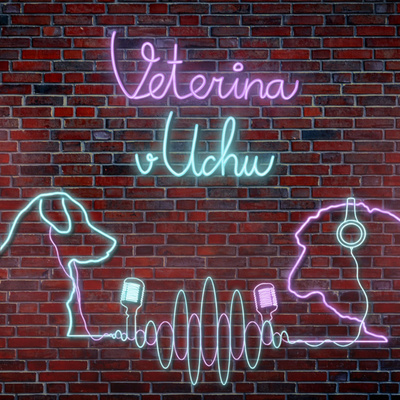 Obrázek epizody #13 Hrdinou může být každý aneb první pomoc v kostce