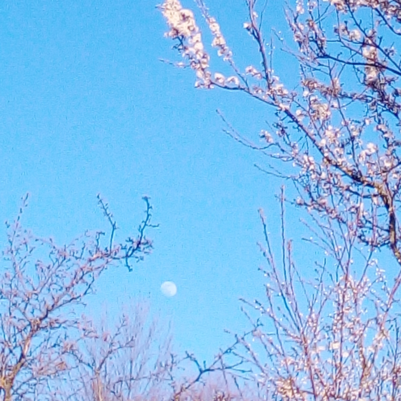 Obrázek epizody Mé jméno voda je