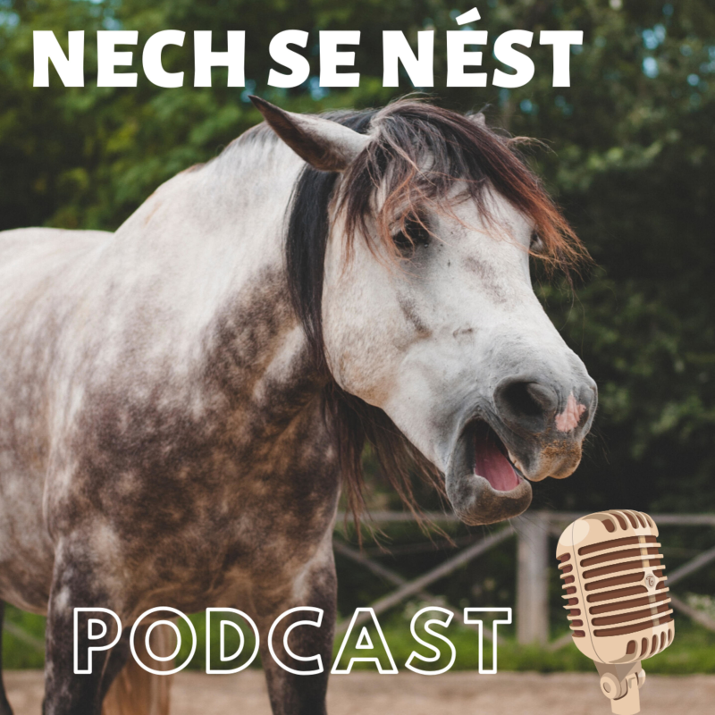 Obrázek epizody Vílo-K č. 8 – O jarních aktualitách a terapiích 14. 4. 2025