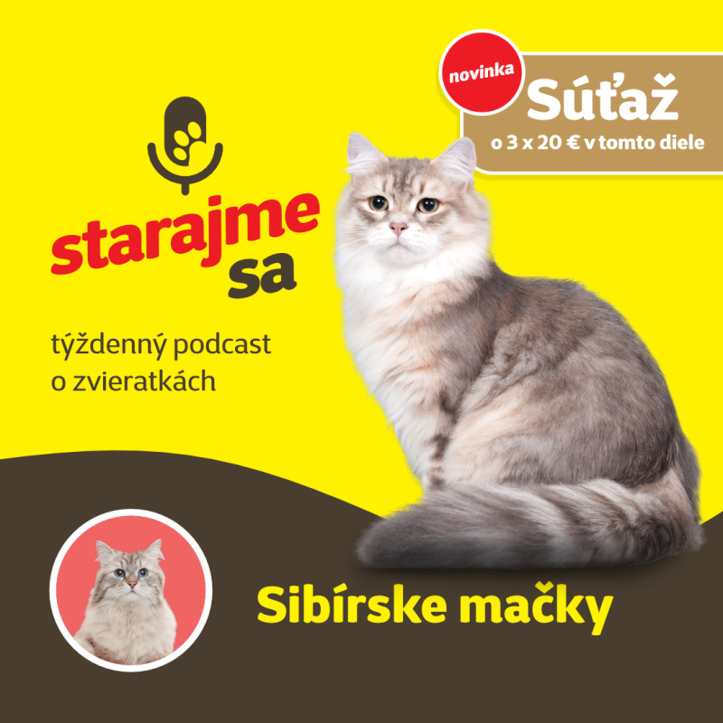 Obrázek epizody Mačky: Sibírske mačky