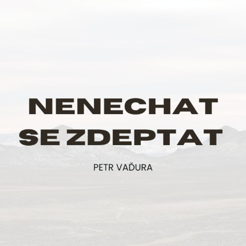 Obrázek epizody Nenechat se zdeptat - Petr Vaďura
