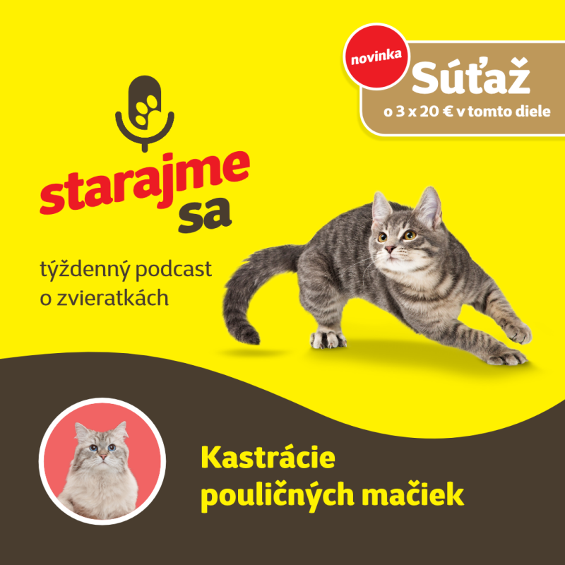 Obrázek epizody Mačky: Kastrácie pouličných mačiek