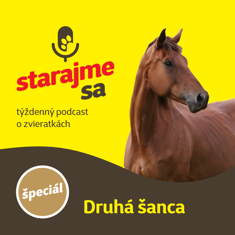 Obrázek epizody Špeciál: Druhá šanca