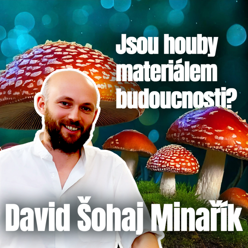 Obrázek epizody Houby, mycelium a ekologické obaly: Měníme budoucnost plastů | 026 David Š. Minařík