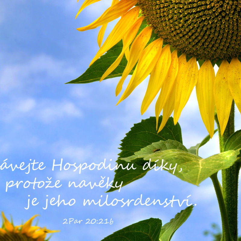 Obrázek epizody Údolí dobrořečení - Vladislav Gattnar (11.9.2011)