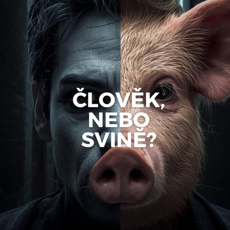 Obrázek epizody ČLOVĚK, NEBO SVINĚ?