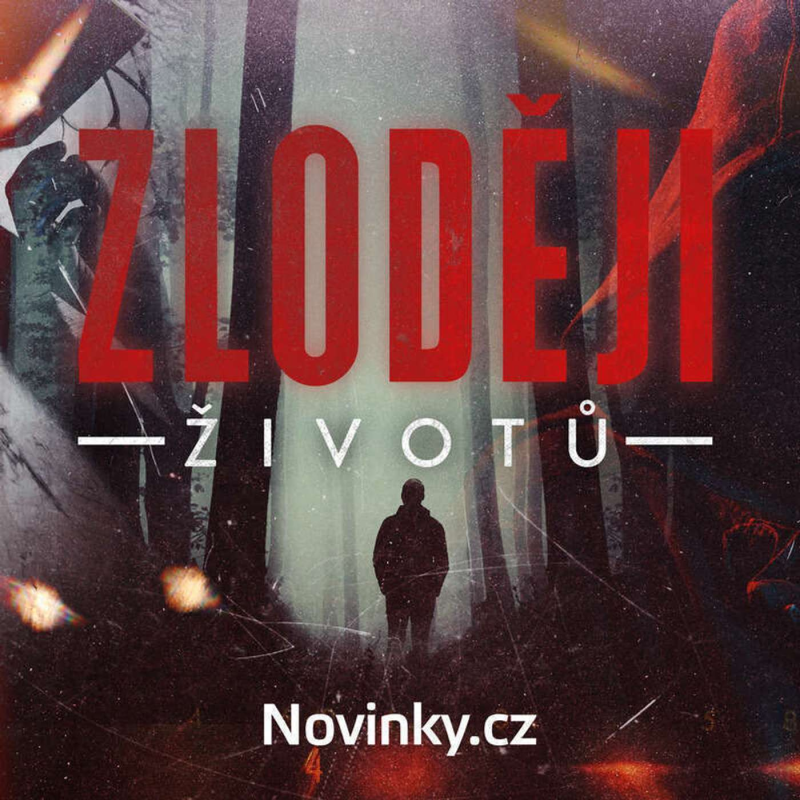 Obrázek epizody ZLODĚJI ŽIVOTŮ: #1 BRUTÁLNÍ VRAŽDA HOMOSEXUÁLŮ