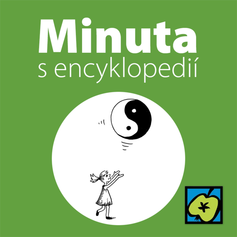 Obrázek epizody Jin a Jang