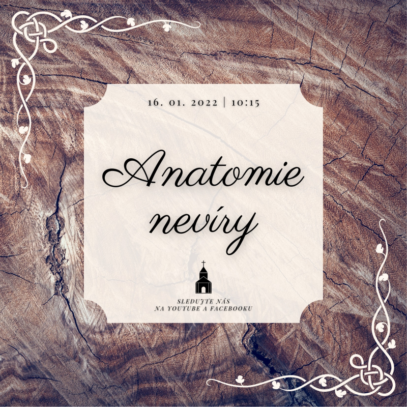 Obrázek epizody Anatomie nevíry (Abyste věřili #26)