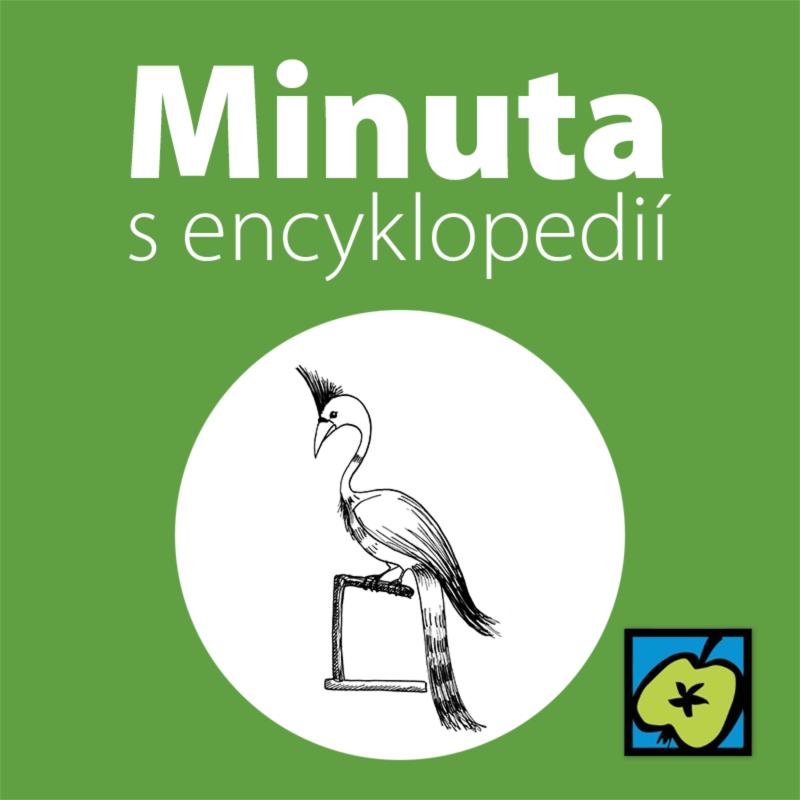 Obrázek epizody Fénix