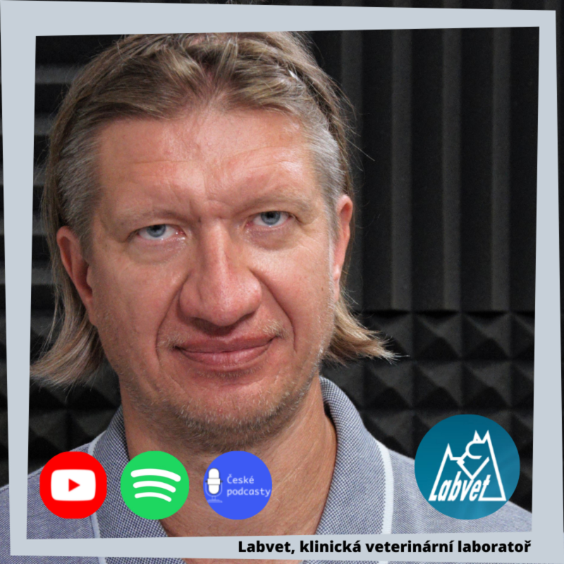 Obrázek epizody Jak se dělá e-shop pro psy