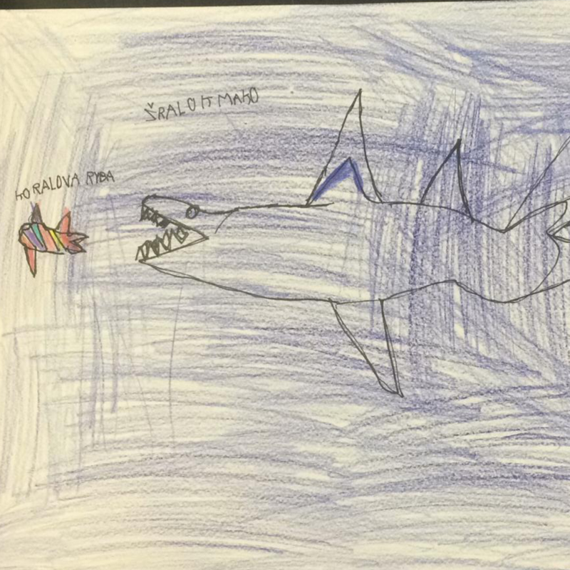 Obrázek epizody Pohádka na motivy - žralok, korálová ryba, dinosaurus, ptáček a strom.