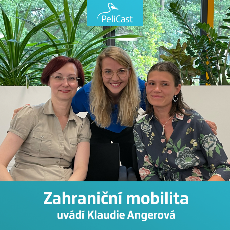 Obrázek epizody Zahraniční mobilita