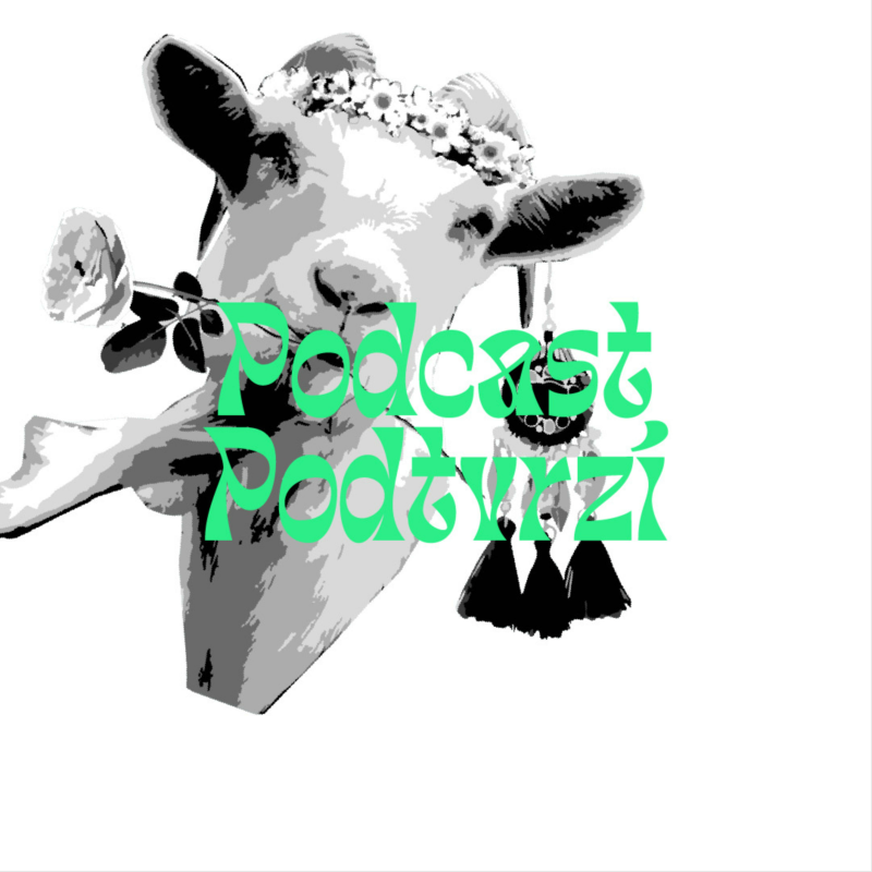 Obrázek epizody „Ty věci co posloucháš v pokojíčku můžeš dělat i na veřejnosti. Nikdo tě nevypíská za to, že nezahraješ sólo.“ | Rozhovor s Honzou a Matyášem z Island Mint