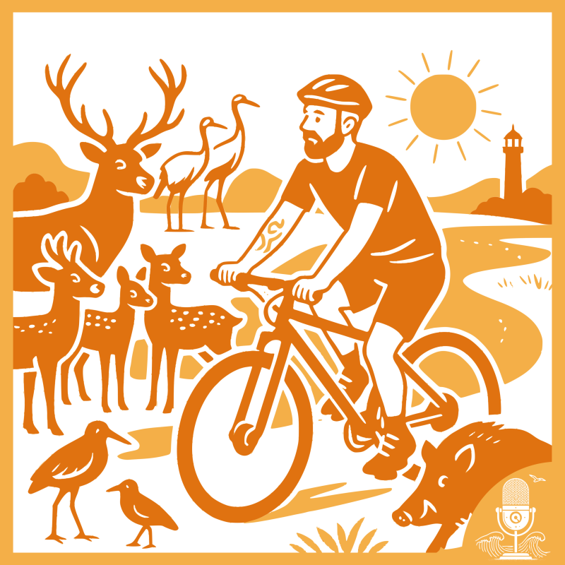 Obrázek epizody Rujána: Ostrov, který (ne)znáš