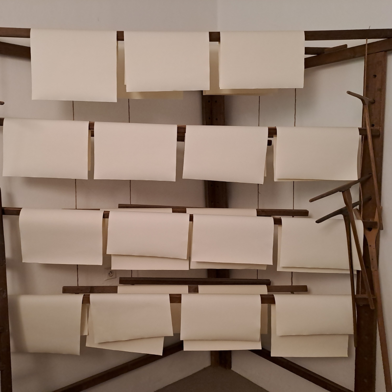 Obrázek epizody TAM - TAM SPECIAL #5: Ruční papírna Velké Losiny