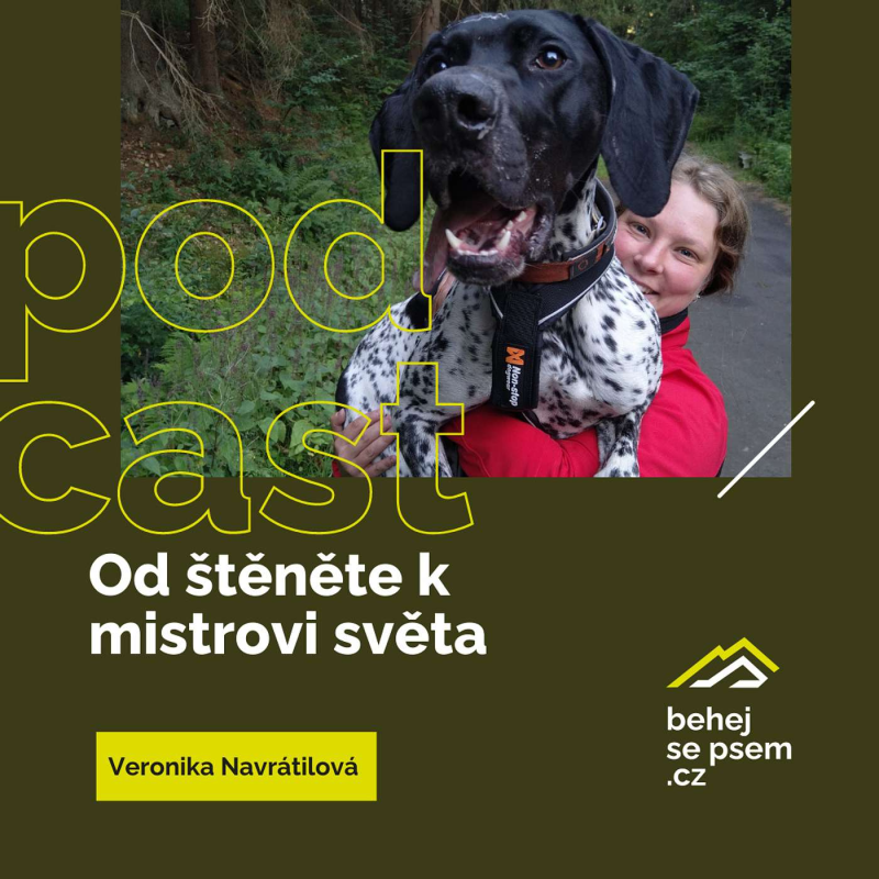 Obrázek epizody Od štěněte k mistrovi světa | Veronika Navrátilová