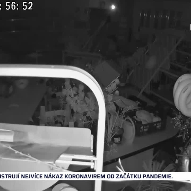 Obrázek epizody Krimi zprávy 29.12.2021