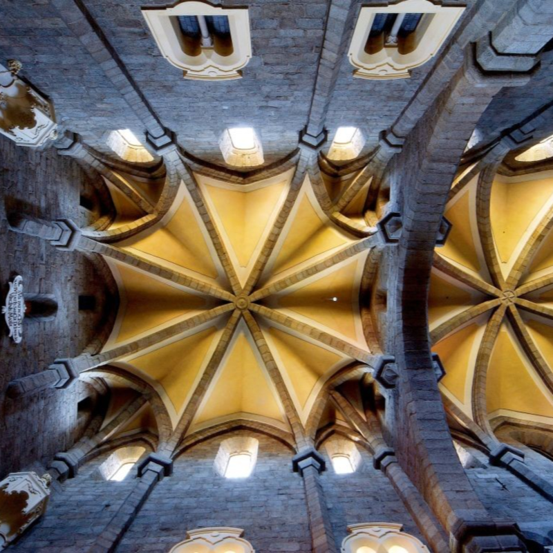 Obrázek epizody Trebic