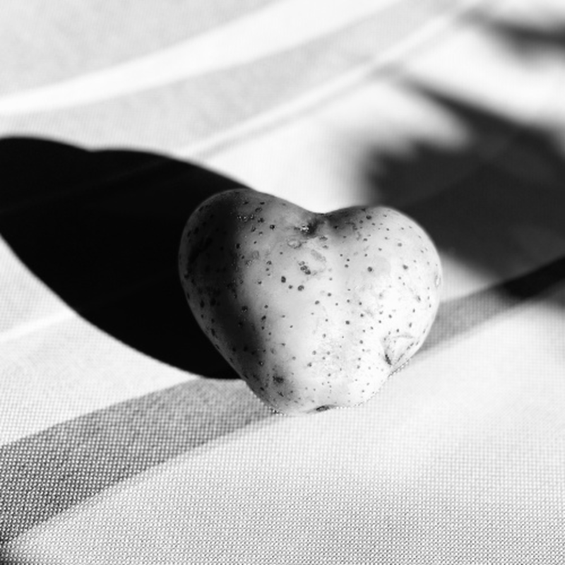 Obrázek epizody Dokonalost je nebezpečná!