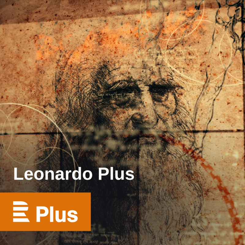 Obrázek epizody Psychoterapeut Jan Vojtko hovoří o vývoji partnerského vztahu od zamilovanosti až po období, ve kterém spolu dvojice začne tvořit plány do budoucna