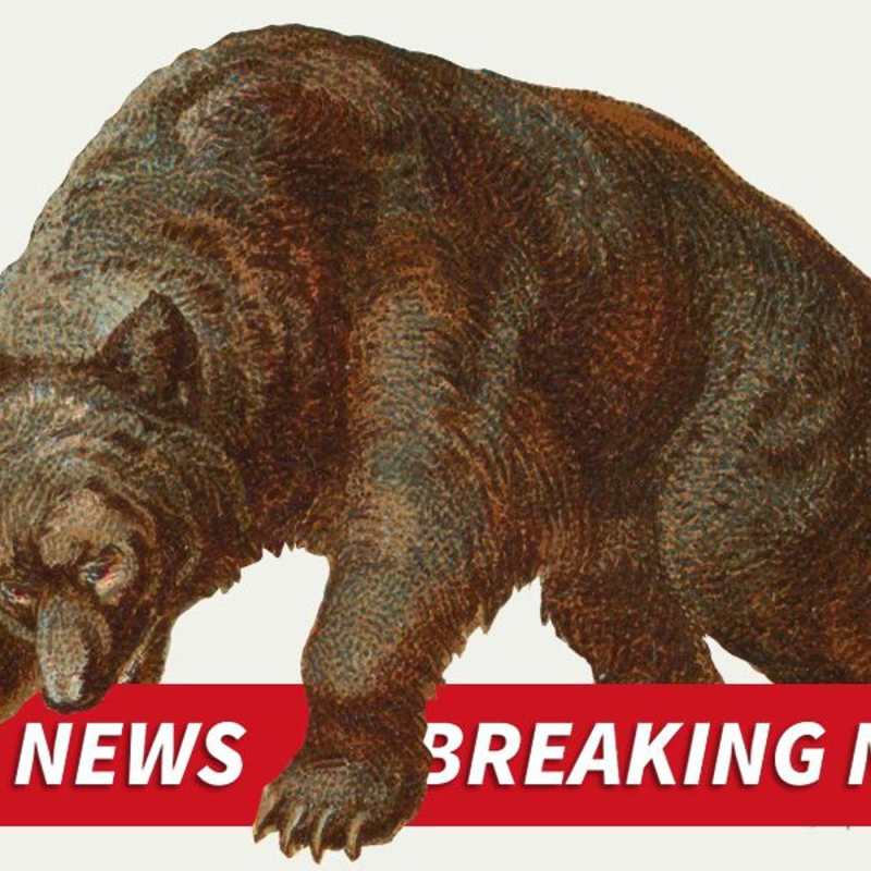 Obrázek epizody Breaking Bad News Bears