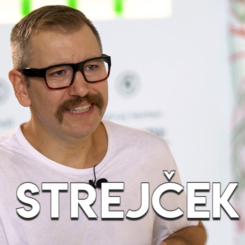 Obrázek epizody Vladimír Strejček - Jak prodávat ilustraci