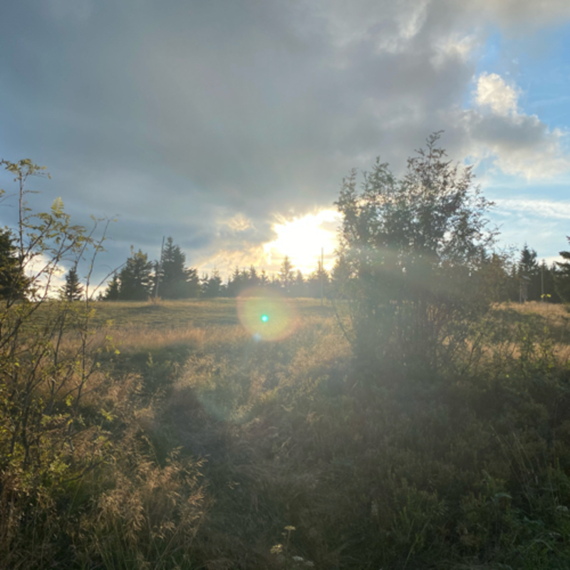 Obrázek epizody O lakomstvi, Facebooku, štědrosti a ekonomii Starého Zákona.